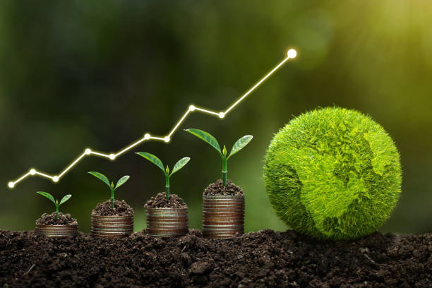 Certified Environmental Impact Assessment Practitioner